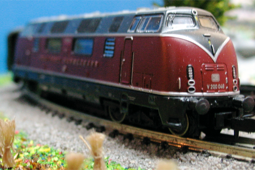 Bildergallerie mit verschiedenen Bildern